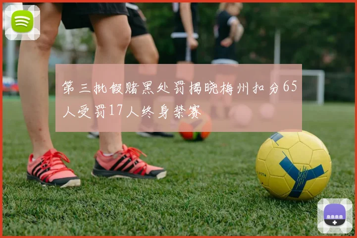 第三批假赌黑处罚揭晓梅州扣分65人受罚17人终身禁赛