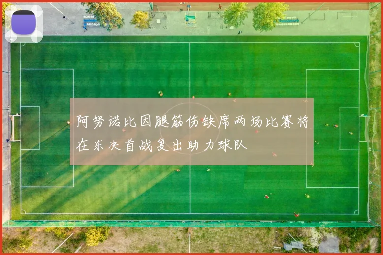 阿努诺比因腿筋伤缺席两场比赛将在东决首战复出助力球队